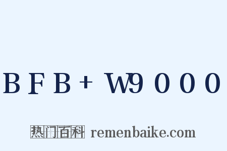 BFB+W9000是什么意思的图片